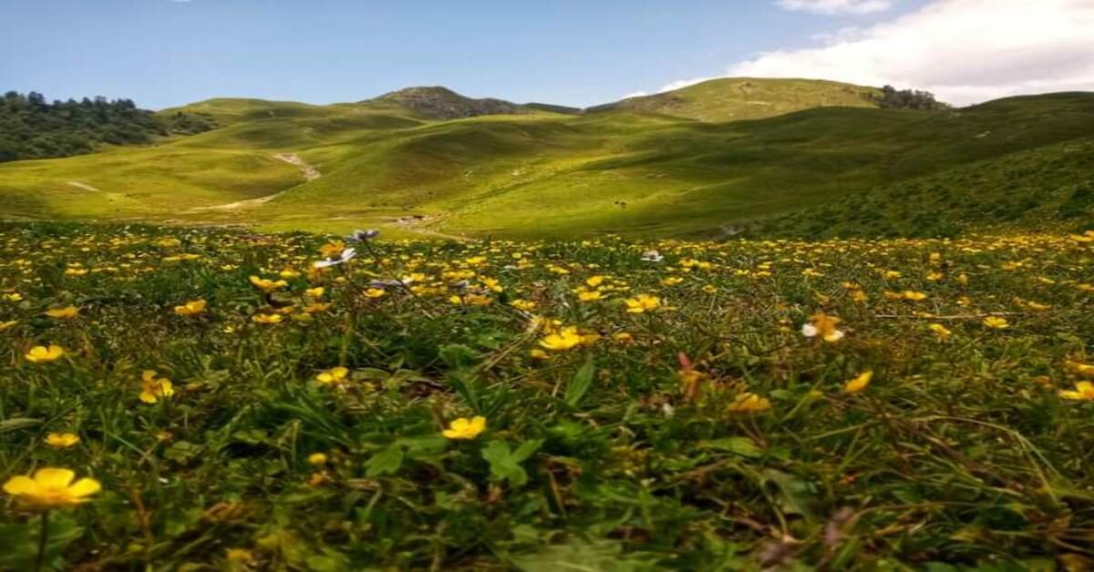 Dayara Bugyal Trek – A Hidden Gem of Uttarakhand’s Himalayas