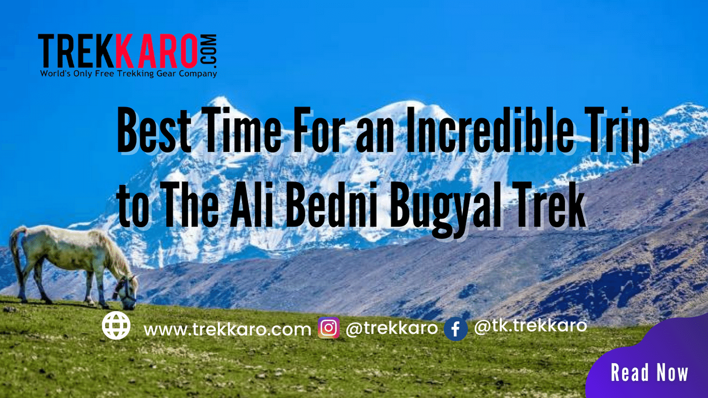 Ali Bedni Bugyal Trek Cost 2026-27: Full Breakdown