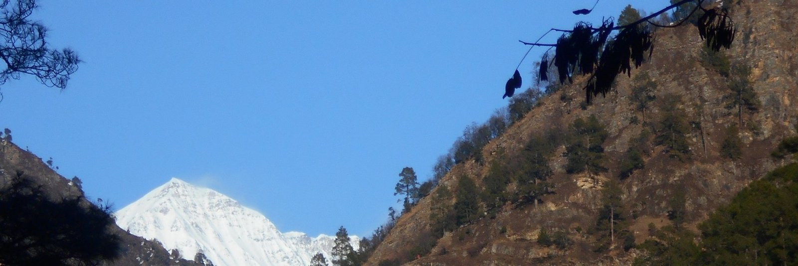 Bandarpunch Peak: Height, Location and Treks That See It