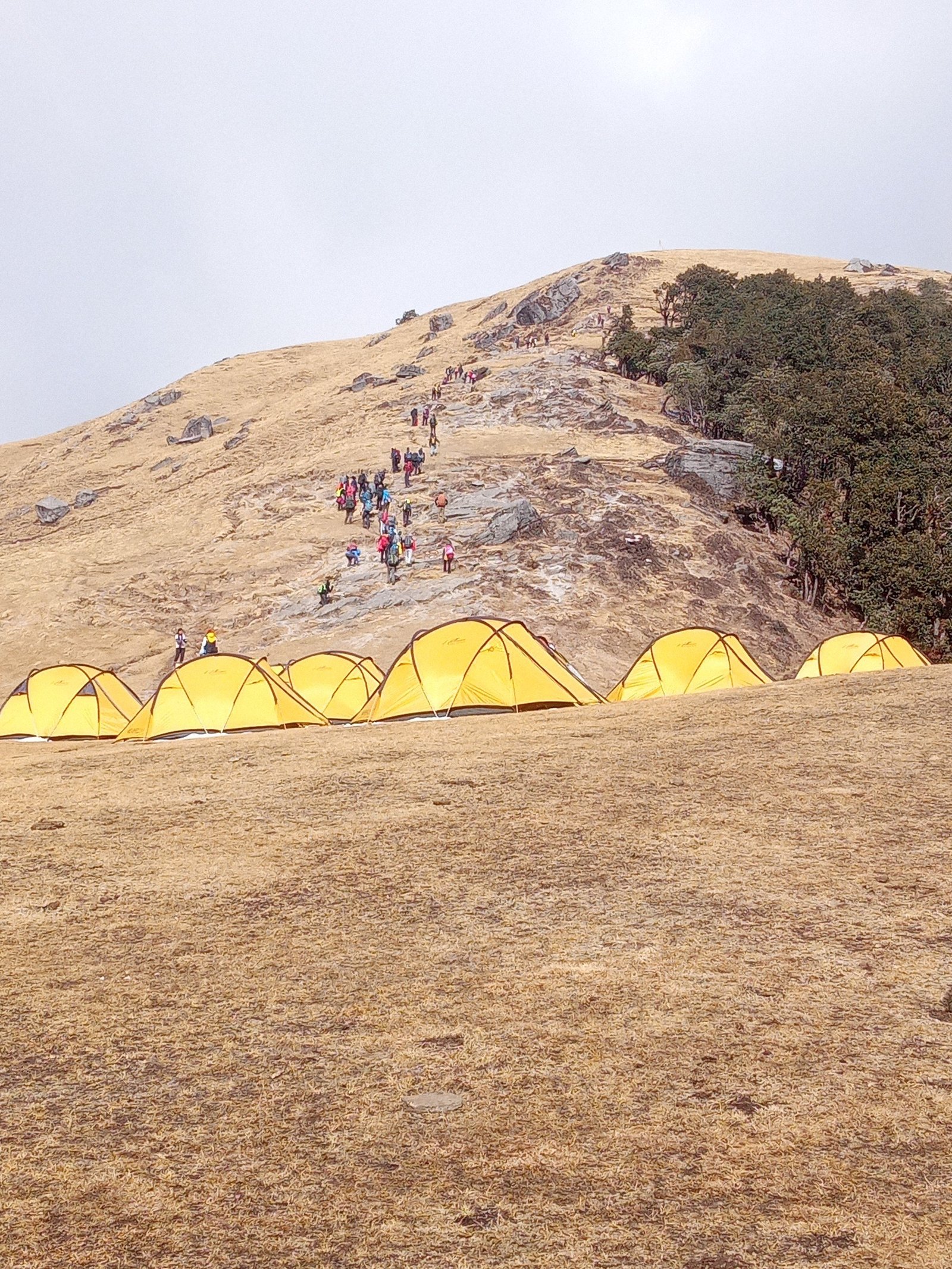 Yellow tents on the hillside camp
