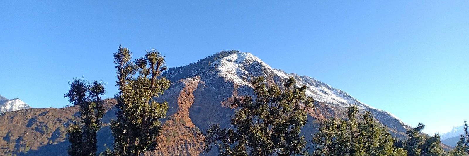 Dayara Bugyal Trek Best Time: Snow, Flowers or Clear Views