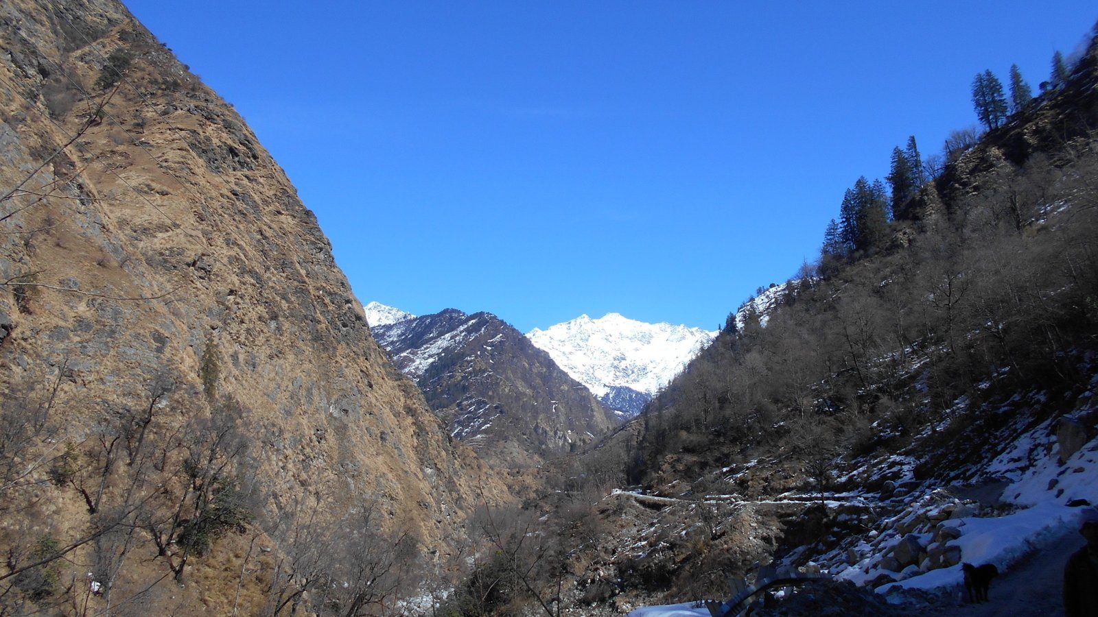 A snow peak framed by the gorge on the Gulabikantha trek route
