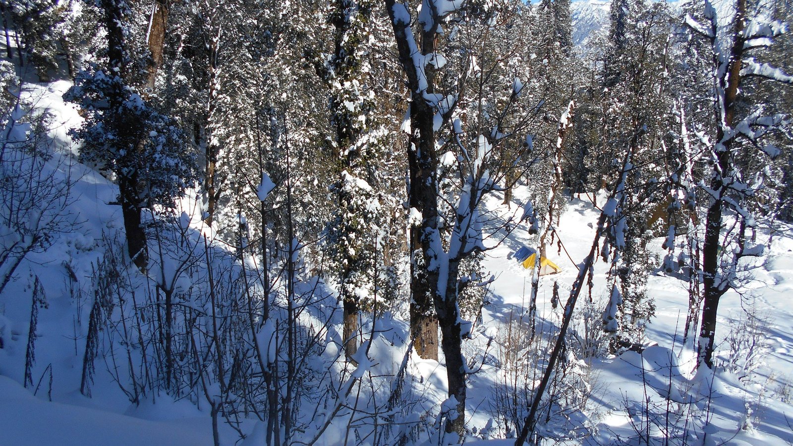 Snow on the forest trail in winter on the Kedarkantha trek