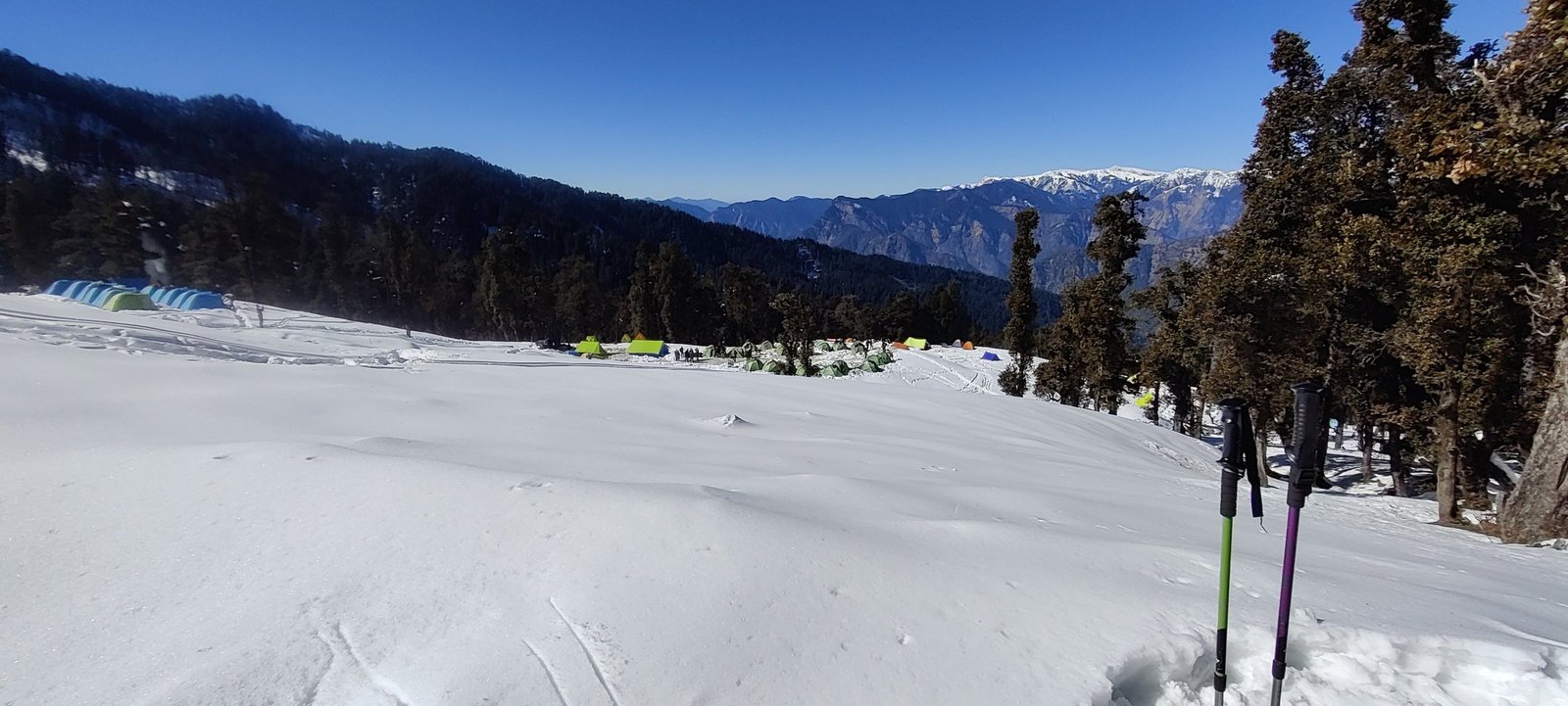 Snowfields and forest on the Kedarkantha trail, with a campsite in the distance