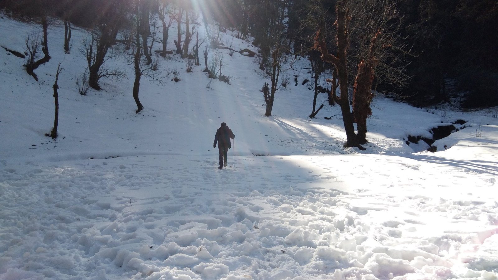 Kedarkantha Trek Distance and Height: Day-wise Route