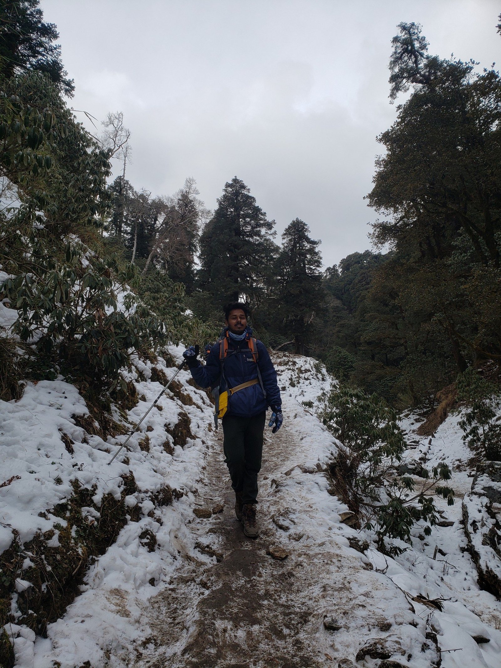 A Trekkaro trekker on the snowy forest trail in winter
