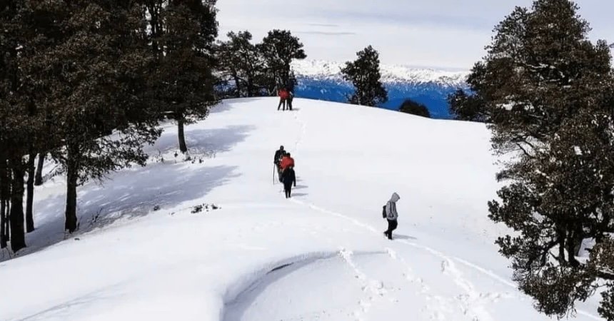 Nag Tibba Trek: A Complete Guide (2026)