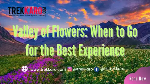 Best Time to Visit Valley of Flowers: Month-by-Month Guide (2027)