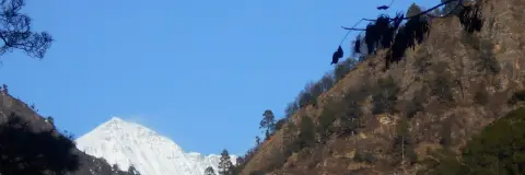 Bandarpunch Peak: Height, Location and Treks That See It