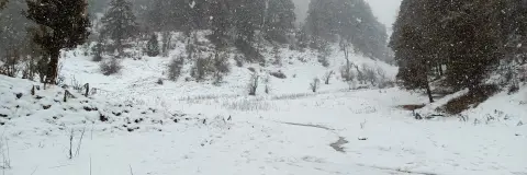 Dayara Bugyal Trek in December: Snow, Cold & Batches