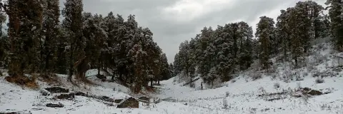 Dayara Bugyal vs Kedarkantha: Which Winter Trek to Choose?