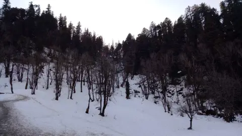 Kedarkantha Trek in November 2026: Snow, Weather, Dates