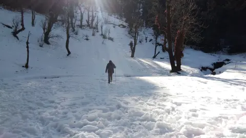 Is Kedarkantha Trek Difficult? Honest Fitness Guide