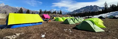 Where Is Kuari Pass and How to Reach Pipalkoti