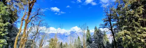 Sankri Village: Height, Network, ATM and Where to Stay