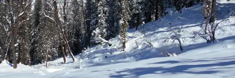 Treks Near Dehradun: 7 Winter Treks, 35 to 200 km Away