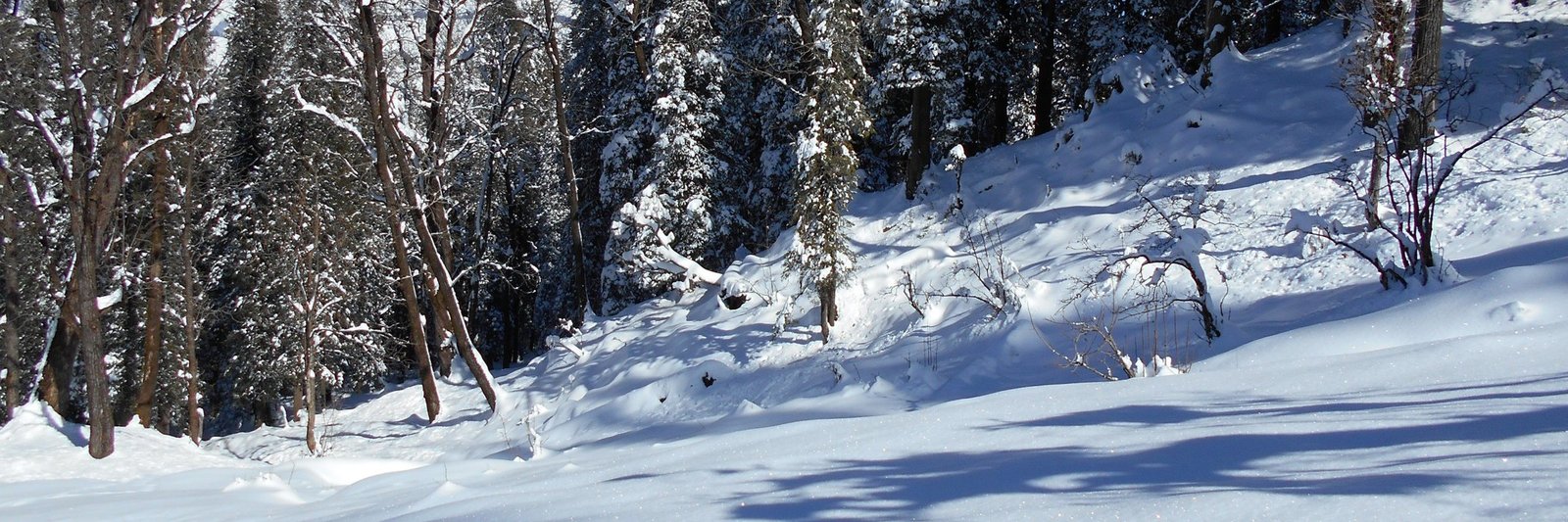 Treks Near Dehradun: 7 Winter Treks, 35 to 200 km Away