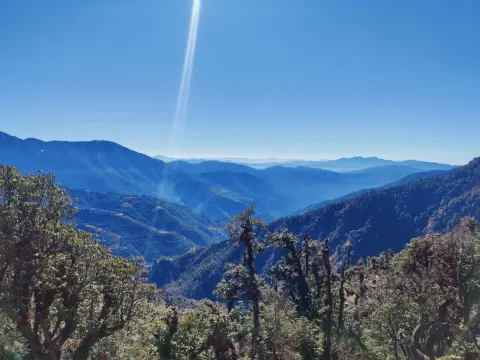 Brahmatal Trek — photo 6 from a Trekkaro batch