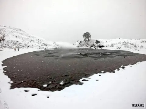 Brahmatal Trek — photo 21 from a Trekkaro batch