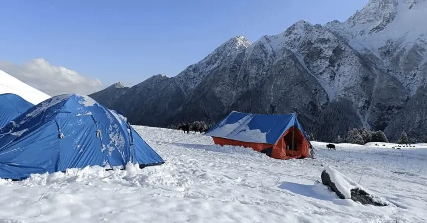 Tents pitched in the forest clearing at the Nag Tibba base camp near the Nag Devta temple