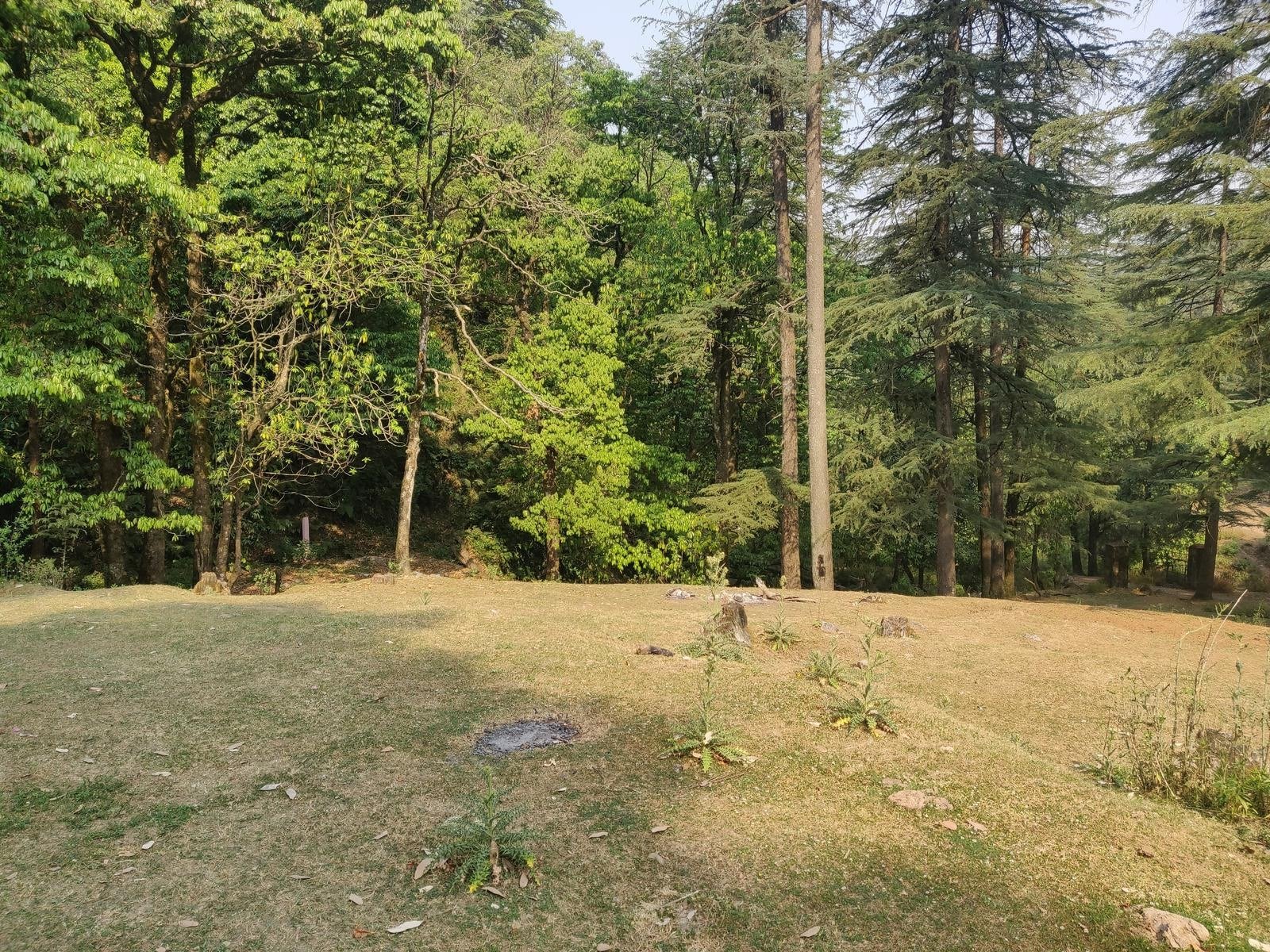 Benog Tibba Trek