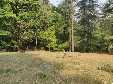 Benog Tibba Trek