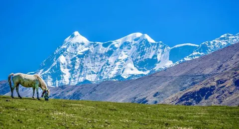 Ali Bedni Bugyal Trek — photo 1 from a Trekkaro batch