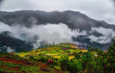 Ali Bedni Bugyal Trek — photo 2 from a Trekkaro batch
