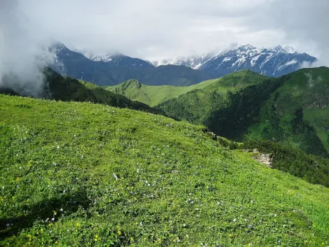 Ali Bedni Bugyal Trek