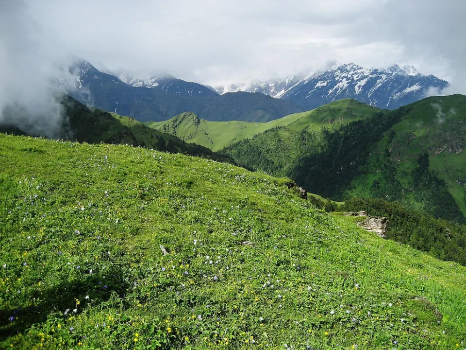 Ali Bedni Bugyal Trek - Trek Scenery
