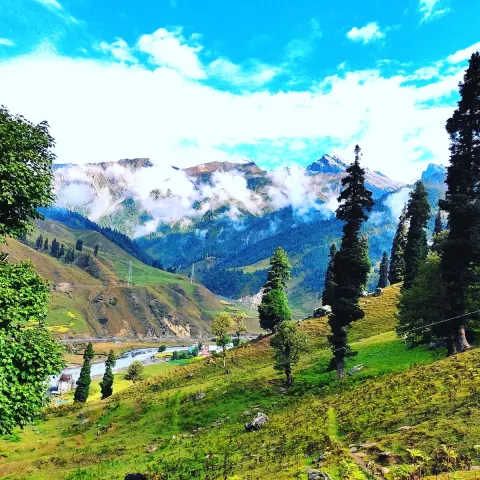 Kashmir Great Lakes Trek — photo 32 from a Trekkaro batch