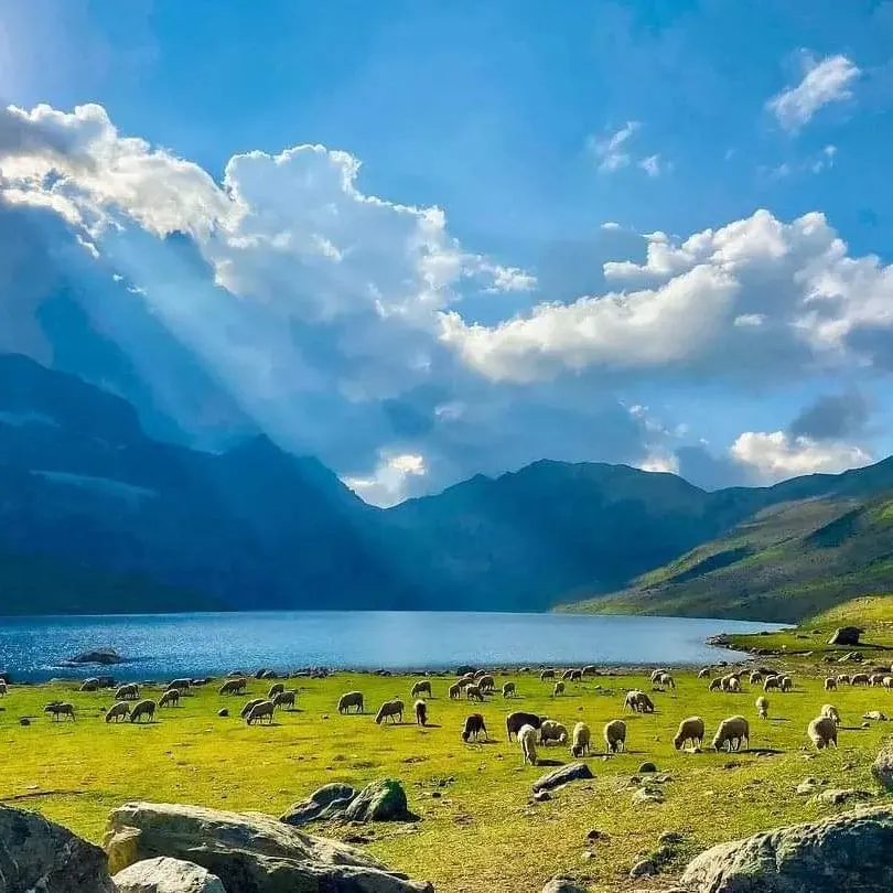 Kashmir Great Lakes Trek - Campsite