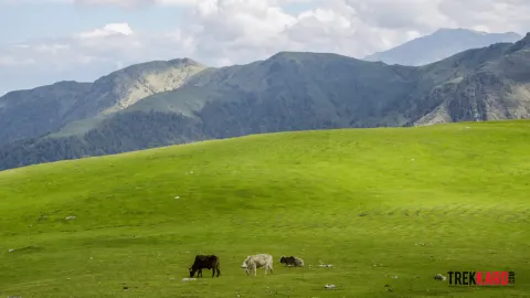 Roopkund Trek