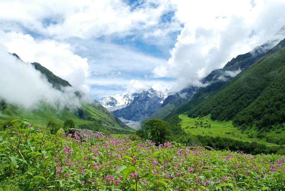 Valley of flowers - Campsite