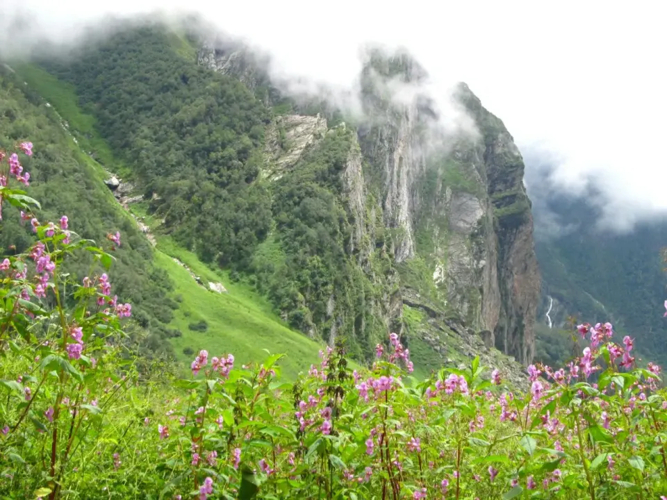 Valley of flowers - Summit View