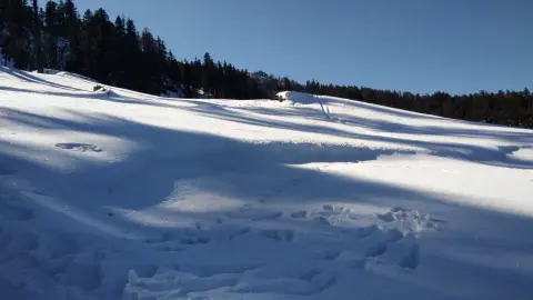 Fresh snow slope below the forest on the Kedarkantha trail
