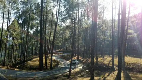 Kedarkantha Trek Day 1: Dehradun to Sankri