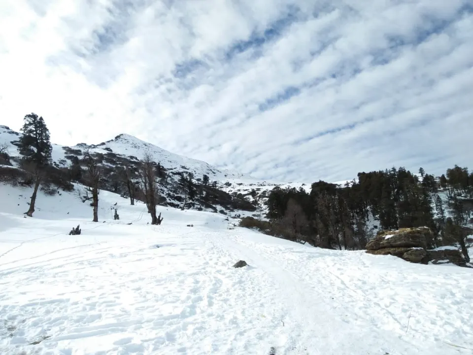 Deep snow on the Kedarkantha trail in January